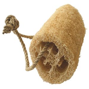 Courge luffa – éponge