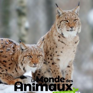 Le Monde des Animaux – Abonnement Découverte – 6 mois – 2 n°